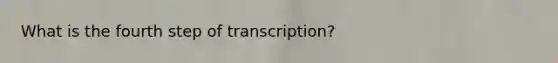 What is the fourth step of transcription?