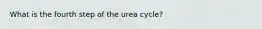 What is the fourth step of the urea cycle?