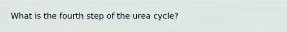 What is the fourth step of the urea cycle?