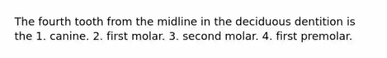 The fourth tooth from the midline in the deciduous dentition is the 1. canine. 2. first molar. 3. second molar. 4. first premolar.