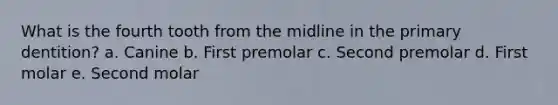 What is the fourth tooth from the midline in the primary dentition? a. Canine b. First premolar c. Second premolar d. First molar e. Second molar