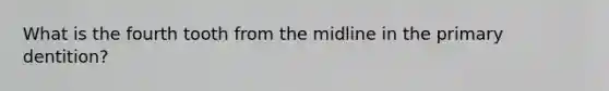 What is the fourth tooth from the midline in the primary dentition?