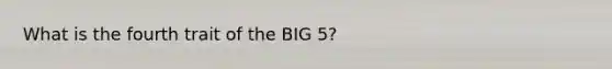 What is the fourth trait of the BIG 5?