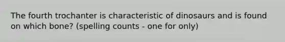 The fourth trochanter is characteristic of dinosaurs and is found on which bone? (spelling counts - one for only)