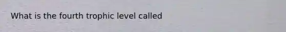 What is the fourth trophic level called