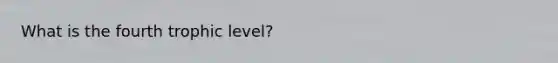 What is the fourth trophic level?