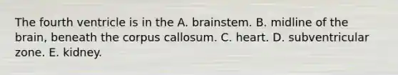 The fourth ventricle is in the A. brainstem. B. midline of the brain, beneath the corpus callosum. C. heart. D. subventricular zone. E. kidney.