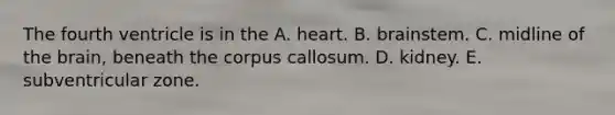 The fourth ventricle is in the A. heart. B. brainstem. C. midline of the brain, beneath the corpus callosum. D. kidney. E. subventricular zone.