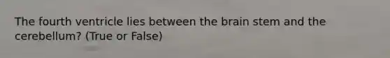 The fourth ventricle lies between the brain stem and the cerebellum? (True or False)