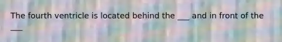 The fourth ventricle is located behind the ___ and in front of the ___