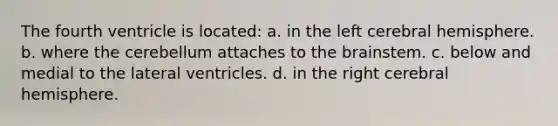 The fourth ventricle is located: a. in the left cerebral hemisphere. b. where the cerebellum attaches to the brainstem. c. below and medial to the lateral ventricles. d. in the right cerebral hemisphere.