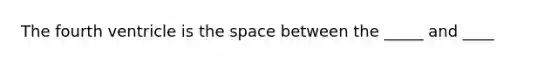 The fourth ventricle is the space between the _____ and ____