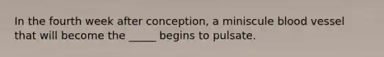In the fourth week after conception, a miniscule blood vessel that will become the _____ begins to pulsate.