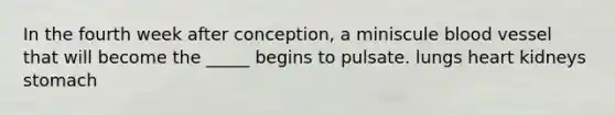 In the fourth week after conception, a miniscule blood vessel that will become the _____ begins to pulsate. lungs heart kidneys stomach