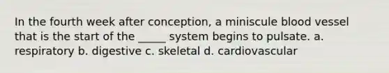 In the fourth week after conception, a miniscule blood vessel that is the start of the _____ system begins to pulsate. a. respiratory b. digestive c. skeletal d. cardiovascular