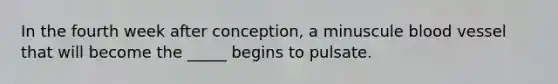 In the fourth week after conception, a minuscule blood vessel that will become the _____ begins to pulsate.