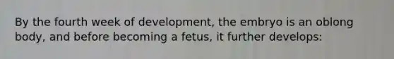 By the fourth week of development, the embryo is an oblong body, and before becoming a fetus, it further develops: