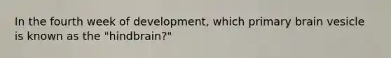 In the fourth week of development, which primary brain vesicle is known as the "hindbrain?"