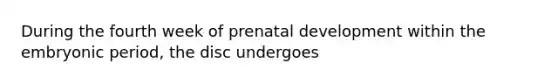 During the fourth week of <a href='https://www.questionai.com/knowledge/kMumvNdQFH-prenatal-development' class='anchor-knowledge'>prenatal development</a> within the embryonic period, the disc undergoes