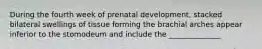 During the fourth week of prenatal development, stacked bilateral swellings of tissue forming the brachial arches appear inferior to the stomodeum and include the ______________