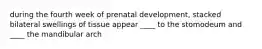 during the fourth week of prenatal development, stacked bilateral swellings of tissue appear ____ to the stomodeum and ____ the mandibular arch