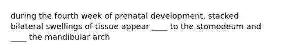 during the fourth week of <a href='https://www.questionai.com/knowledge/kMumvNdQFH-prenatal-development' class='anchor-knowledge'>prenatal development</a>, stacked bilateral swellings of tissue appear ____ to the stomodeum and ____ the mandibular arch