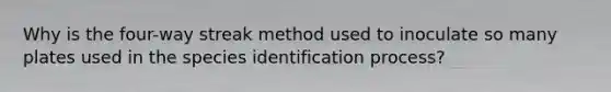 Why is the four-way streak method used to inoculate so many plates used in the species identification process?