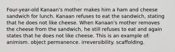 Four-year-old Kanaan's mother makes him a ham and cheese sandwich for lunch. Kanaan refuses to eat the sandwich, stating that he does not like cheese. When Kanaan's mother removes the cheese from the sandwich, he still refuses to eat and again states that he does not like cheese. This is an example of: animism. object permanence. irreversibility. scaffolding.