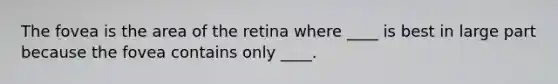 The fovea is the area of the retina where ____ is best in large part because the fovea contains only ____.