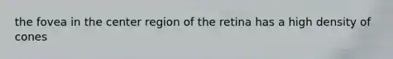 the fovea in the center region of the retina has a high density of cones