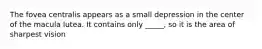 The fovea centralis appears as a small depression in the center of the macula lutea. It contains only _____, so it is the area of sharpest vision