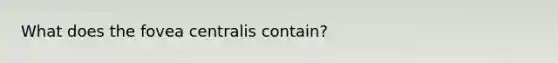 What does the fovea centralis contain?