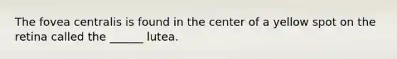 The fovea centralis is found in the center of a yellow spot on the retina called the ______ lutea.