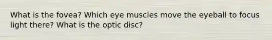 What is the fovea? Which eye muscles move the eyeball to focus light there? What is the optic disc?