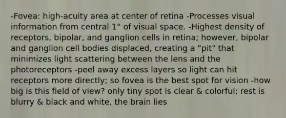 -Fovea: high-acuity area at center of retina -Processes visual information from central 1° of visual space. -Highest density of receptors, bipolar, and ganglion cells in retina; however, bipolar and ganglion cell bodies displaced, creating a "pit" that minimizes light scattering between the lens and the photoreceptors -peel away excess layers so light can hit receptors more directly; so fovea is the best spot for vision -how big is this field of view? only tiny spot is clear & colorful; rest is blurry & black and white, the brain lies