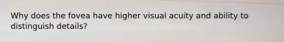 Why does the fovea have higher visual acuity and ability to distinguish details?