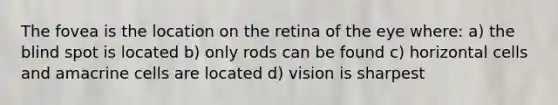 The fovea is the location on the retina of the eye where: a) the blind spot is located b) only rods can be found c) horizontal cells and amacrine cells are located d) vision is sharpest