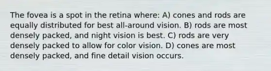 The fovea is a spot in the retina where: A) cones and rods are equally distributed for best all-around vision. B) rods are most densely packed, and night vision is best. C) rods are very densely packed to allow for color vision. D) cones are most densely packed, and fine detail vision occurs.