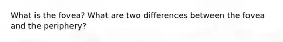 What is the fovea? What are two differences between the fovea and the periphery?