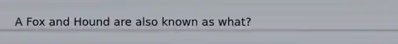 A Fox and Hound are also known as what?