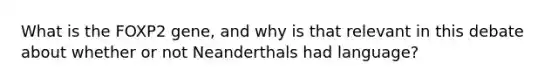 What is the FOXP2 gene, and why is that relevant in this debate about whether or not Neanderthals had language?