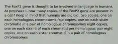 The FoxP2 gene is thought to be involved in language in humans. At prophase I, how many copies of the FoxP2 gene are present in a cell? Keep in mind that humans are diploid. two copies, one on each homologous chromosome four copies, one on each sister chromatid in a pair of homologous chromosomes eight copies, one on each strand of each chromatid per homologous pair eight copies, one on each sister chromatid in a pair of homologous chromosomes