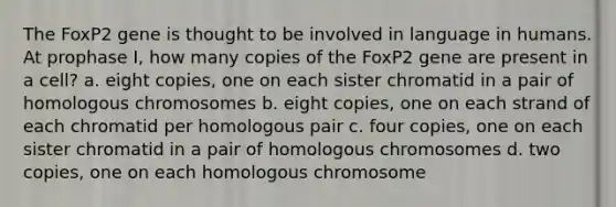 The FoxP2 gene is thought to be involved in language in humans. At prophase I, how many copies of the FoxP2 gene are present in a cell? a. eight copies, one on each sister chromatid in a pair of homologous chromosomes b. eight copies, one on each strand of each chromatid per homologous pair c. four copies, one on each sister chromatid in a pair of homologous chromosomes d. two copies, one on each homologous chromosome