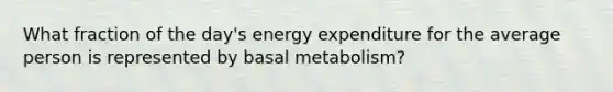 What fraction of the day's energy expenditure for the average person is represented by basal metabolism?