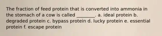 The fraction of feed protein that is converted into ammonia in the stomach of a cow is called ________. a. ideal protein b. degraded protein c. bypass protein d. lucky protein e. essential protein f. escape protein