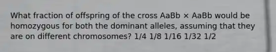 What fraction of offspring of the cross AaBb × AaBb would be homozygous for both the dominant alleles, assuming that they are on different chromosomes? 1/4 1/8 1/16 1/32 1/2