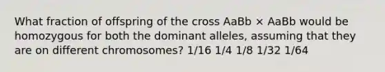 What fraction of offspring of the cross AaBb × AaBb would be homozygous for both the dominant alleles, assuming that they are on different chromosomes? 1/16 1/4 1/8 1/32 1/64