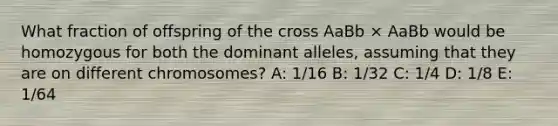 What fraction of offspring of the cross AaBb × AaBb would be homozygous for both the dominant alleles, assuming that they are on different chromosomes? A: 1/16 B: 1/32 C: 1/4 D: 1/8 E: 1/64