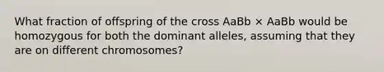 What fraction of offspring of the cross AaBb × AaBb would be homozygous for both the dominant alleles, assuming that they are on different chromosomes?