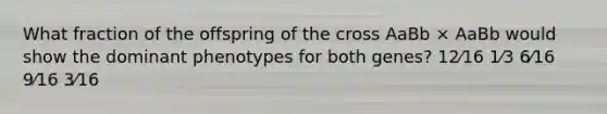 What fraction of the offspring of the cross AaBb × AaBb would show the dominant phenotypes for both genes? 12⁄16 1⁄3 6⁄16 9⁄16 3⁄16